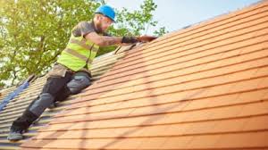 Best Roof Inspection  in USA